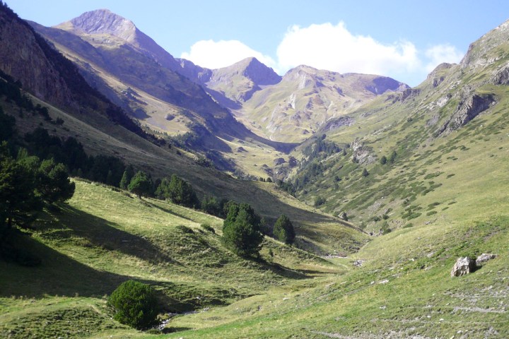 Greed landscape in Vall d'Aran Catalonia