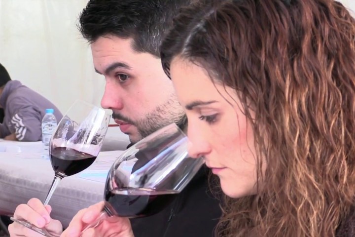 Wine Tasting in Catalonia