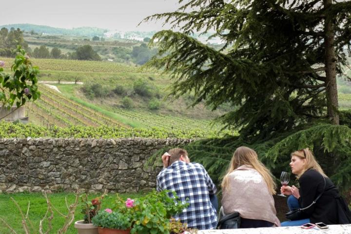 Relaxing in Albet i Noya Vineyards in Catalonia