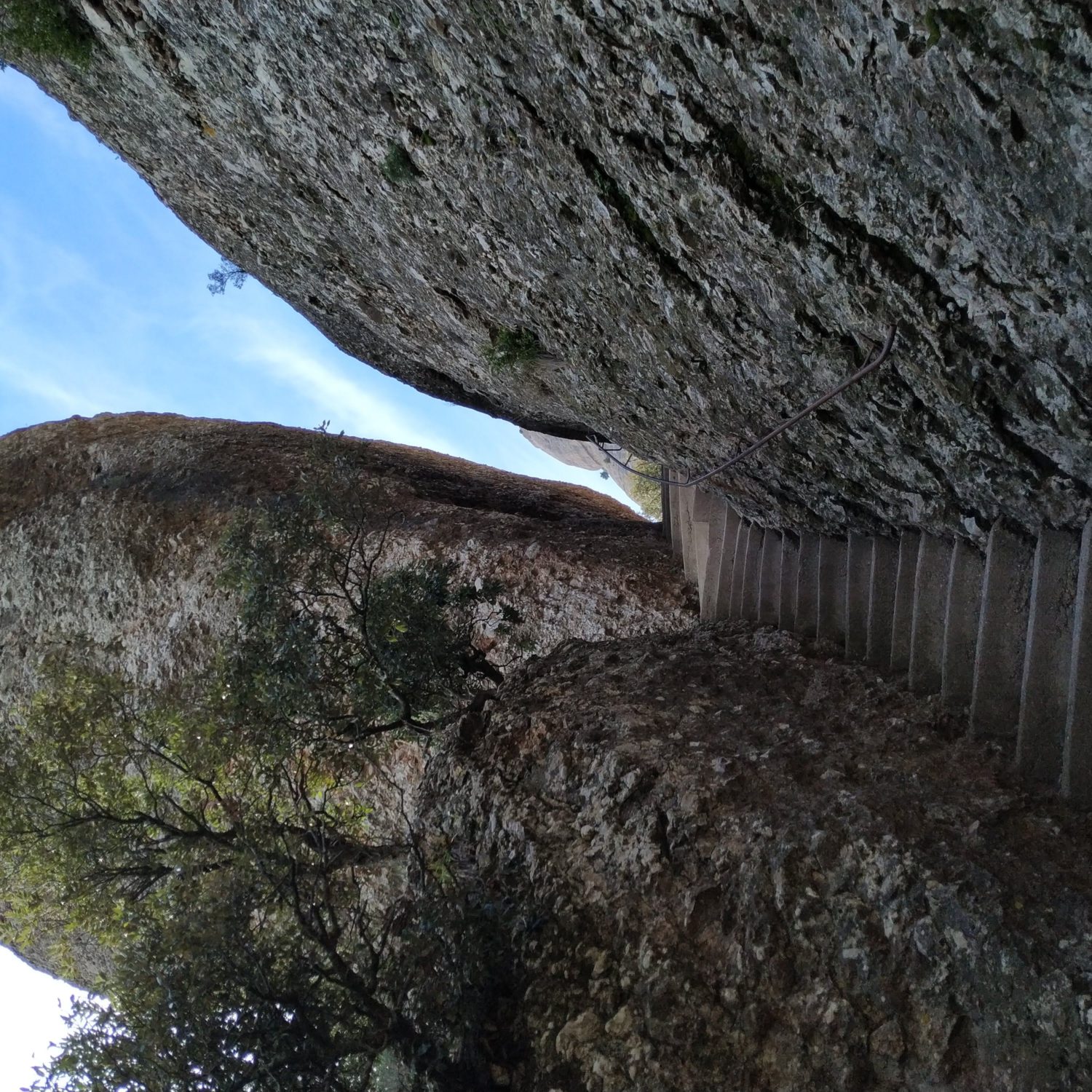 ahiking trail in Montserrat