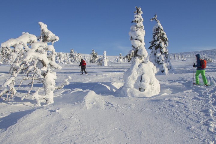 a group of people riding skis on top of a snow covered slope