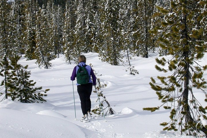 a man is cross country skiing in the snow