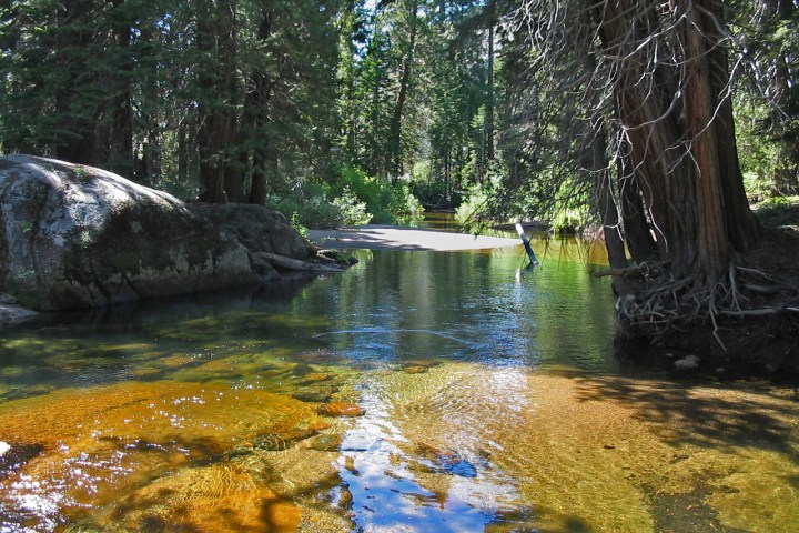 a close up of a pond