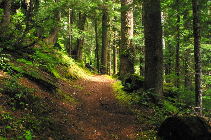 hiking on a path of the Pyrenees